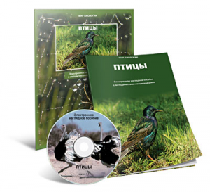 Электронное наглядное пособие «Птицы» - fgospostavki.ru - Махачкала