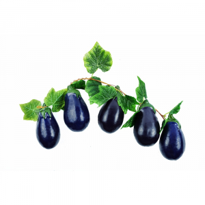 Ветка муляжей "Баклажаны" - fgospostavki.ru - Махачкала