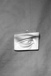 Гипсовая модель "Глаз" - fgospostavki.ru - Махачкала