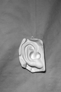 Гипсовая модель "Ухо" - fgospostavki.ru - Махачкала