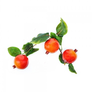 Ветка муляжей "Гранат" - fgospostavki.ru - Махачкала