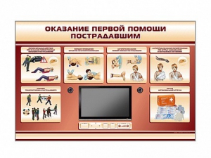 Многофункциональный интерактивный стенд-тренажер "Оказание первой помощи пострадавшим" для учащихся общеобразовательных учреждений - fgospostavki.ru - Махачкала