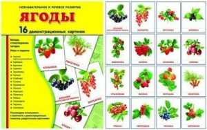 Демонстрационные карточки "Ягоды" - fgospostavki.ru - Махачкала