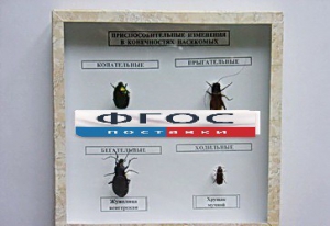 Коллекция энтомологическая "Приспособительные изменения в конечностях насекомых" - fgospostavki.ru - Махачкала