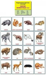 Раздаточные карточки "Дикие животные (1)" - fgospostavki.ru - Махачкала
