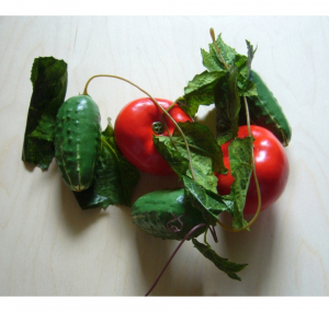 Ветка муляжей "Ассорти" (овощи) - fgospostavki.ru - Махачкала