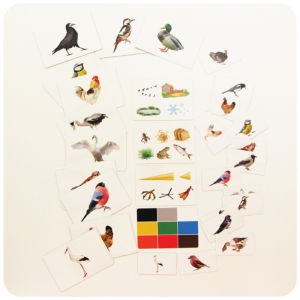 Набор магнитных карточек "Загадки-отрицания". Птицы - fgospostavki.ru - Махачкала