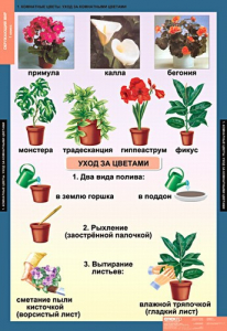Комплект таблиц. Окружающий мир 1 класс. - fgospostavki.ru - Махачкала