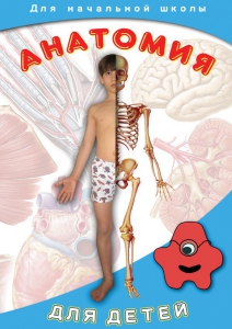 DVD "Анатомия для детей" - fgospostavki.ru - Махачкала
