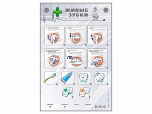 Интерактивный стенд "Живые зубки" - fgospostavki.ru - Махачкала