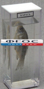 Влажный препарат "Карась" - fgospostavki.ru - Махачкала