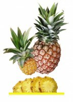 Комплект карточек "Запоминай, играй, считай" - Фрукты - fgospostavki.ru - Махачкала