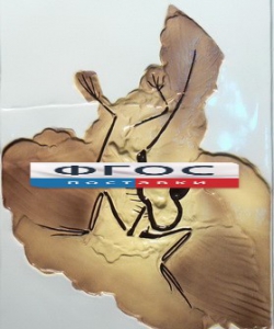 Модель барельефная "Археоптерикс" - fgospostavki.ru - Махачкала