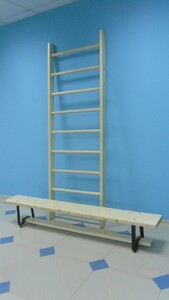 Стенка гимнастическая шведская премиум (1000х3200 мм) - fgospostavki.ru - Махачкала