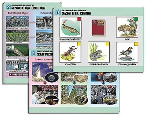 Комплект таблиц "Окружающий мир. Экология" (6 таблиц, А1, ламинированные) - fgospostavki.ru - Махачкала