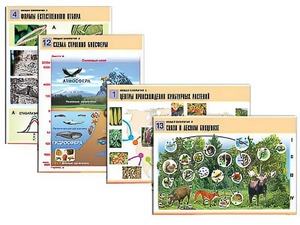 Комплект таблиц по биологии демонстрационных "Общая биология 2" (14 таблиц, формат А1, ламинированные) - fgospostavki.ru - Махачкала