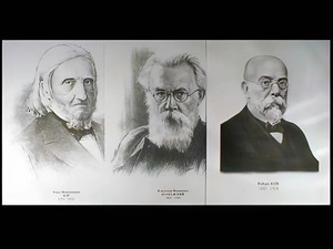 Портреты биологов (26 штук, формат А3) - fgospostavki.ru - Махачкала