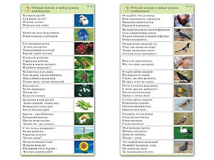 Комплект карточек (10) "Обучающий калейдоскоп. Природа" - fgospostavki.ru - Махачкала