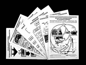 Комплект таблиц по экологии "Экосистема-экологическая единица окружающей среды" (ламинированные, А4, 12 штук) - fgospostavki.ru - Махачкала