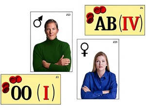 Модель-аппликация "Генетика групп крови" (ламинированная) - fgospostavki.ru - Махачкала