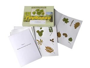 Гербарий "Морфология растений" (6 тем, 30 видов) - fgospostavki.ru - Махачкала