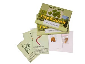 Гербарий "Основные группы растений. Грибы. Лишайники" (53 листа, с иллюстрациями и фотографиями) - fgospostavki.ru - Махачкала