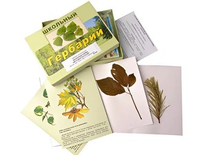 Гербарий "Жизненные формы цветковых растений" (раздаточный) - fgospostavki.ru - Махачкала