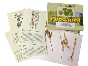 Гербарий "Систематика растений. Семейство Бобовые. Злаки" (раздаточный) - fgospostavki.ru - Махачкала