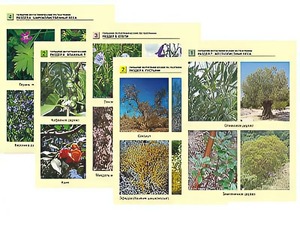 Гербарий фотографический по географии - fgospostavki.ru - Махачкала