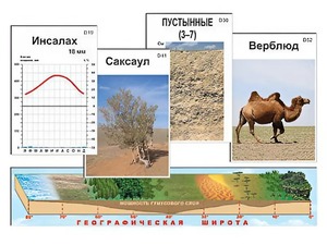 Модель-аппликация "Природные зоны" - fgospostavki.ru - Махачкала