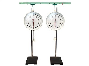 Динамометр демонстрационный (пара) - fgospostavki.ru - Махачкала