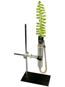 Прибор для демонстрации всасывания воды корнями - fgospostavki.ru - Махачкала