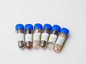 Набор № 6 ОС Щелочные и щелочноземельные металлы - fgospostavki.ru - Махачкала