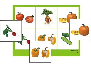 Логопедическое лото "Овощи" (4 планшета, 24 карточки, цветное, ламинированное) - fgospostavki.ru - Махачкала