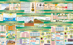 Комплект таблиц "Экология (9 листов)" (100х140 сантиметров, винил) - fgospostavki.ru - Махачкала