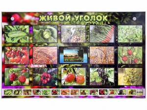 Комплект оборудования "Живой уголок" (растения) с тифлопереводом и сурдокомментариями - fgospostavki.ru - Махачкала