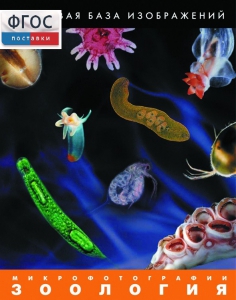 Зоология. Микрофотографии. (Цифровая база изображений) - fgospostavki.ru - Махачкала