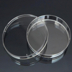 Чашка Петри стеклянная с крышкой 100х20 - fgospostavki.ru - Махачкала