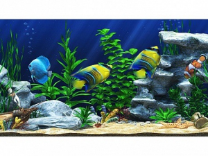 Интерактивный аттракционный комплекс "Водный мир" - fgospostavki.ru - Махачкала