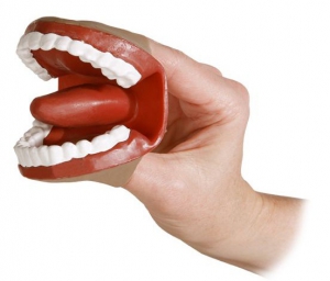 Муляж артикуляционного аппарата - fgospostavki.ru - Махачкала