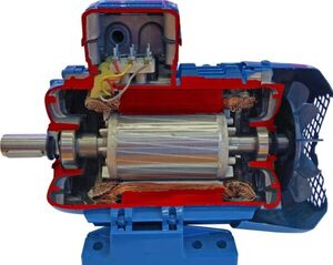 Учебная модель «Электродвигатель асинхронный в разрезе» - fgospostavki.ru - Махачкала