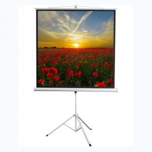 Экран на штативе DSKD-1105  - fgospostavki.ru - Махачкала