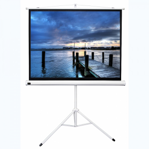 Экран на штативе DSKD-4302 - fgospostavki.ru - Махачкала