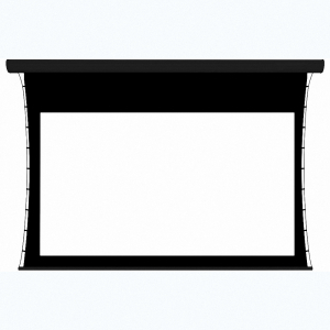 Экран настенный с электроприводом DSTPX-16915 - fgospostavki.ru - Махачкала