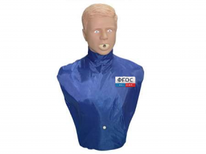 Тренажер-манекен взрослого пострадавшего "Искандер" для отработки приемов удаления инородного тела из верхних дыхательных путей - fgospostavki.ru - Махачкала