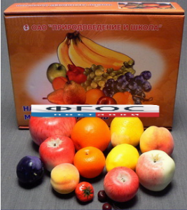 Набор муляжей фруктов (большой из 13 штук) - fgospostavki.ru - Махачкала