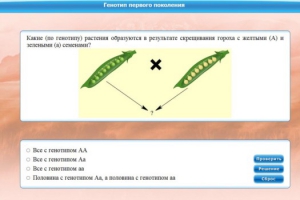 Интерактивные курсы. Биология 11 класс. Базовый. - fgospostavki.ru - Махачкала