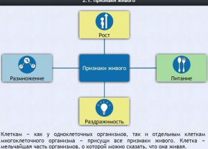 Интерактивные курсы. Биология 5 класс. Базовый - fgospostavki.ru - Махачкала