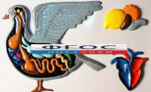 Модель барельефная "Внутреннее строение голубя" - fgospostavki.ru - Махачкала