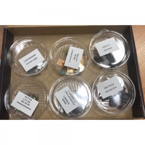 Раздаточная коллекция "Образцы полезных ископаемых и металлов" (15 видов) - fgospostavki.ru - Махачкала